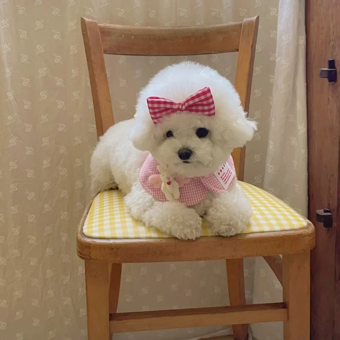 Mystery Paw Cute Plaid Rabbit Cape & Scarf for Small Dogs & Cats