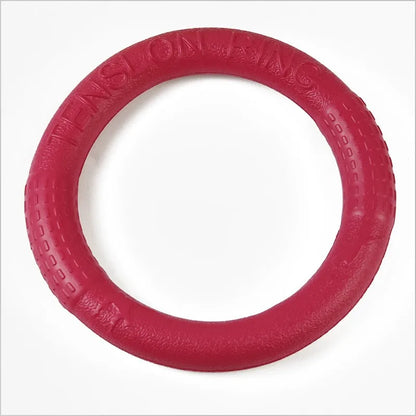 Mystery Paw Indestructible Dog Flying Disc - Ultimate Fetch Fun!