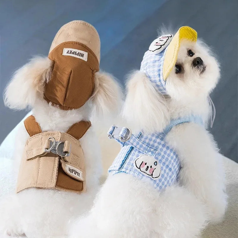 Mystery Paw Summer Adventure Dog Harness & Hat Set