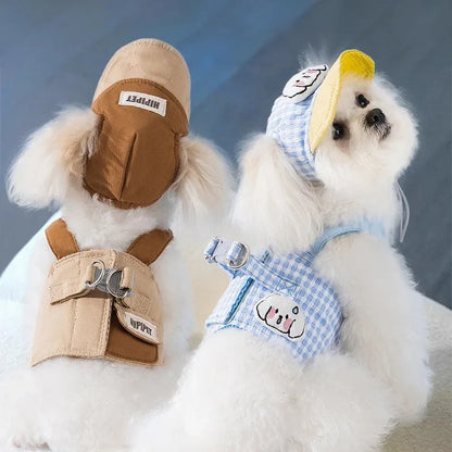 Mystery Paw Summer Adventure Dog Harness & Hat Set