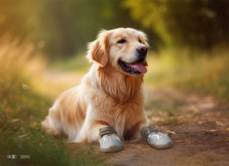 Truelove Breathable Dog Boots - Soft & Protective Outdoor Shoes
