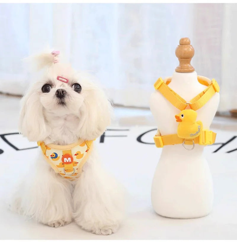 Mystery Paw Cartoon Duck Harness & Leash Set for Small Dogs & Cats