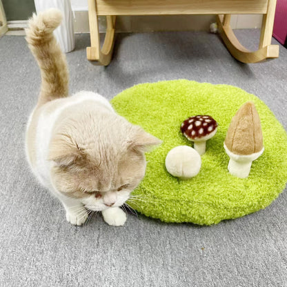 Mystery Paw's Snuffle Mat 3D for Cats and Dogs