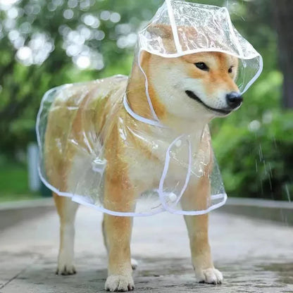 Mystery Paw Transparent Dog Raincoat - Stylish & Waterproof