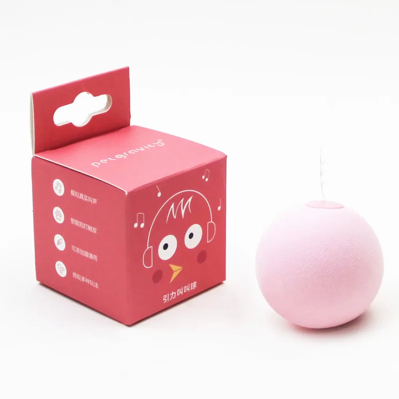 Mystery Paw Interactive Catnip Ball Toy – Engaging Indoor Fun for Cats