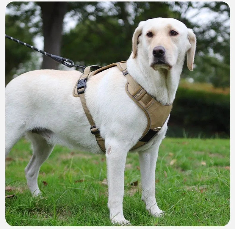 No Pull Adjustable Reflective Dog Harness with Airtag Holder - Mystery Paw