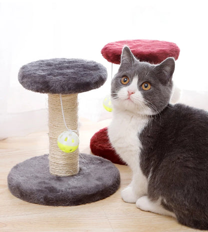 Mystery Paw Sisal Cat Scratcher & Interactive Play Post