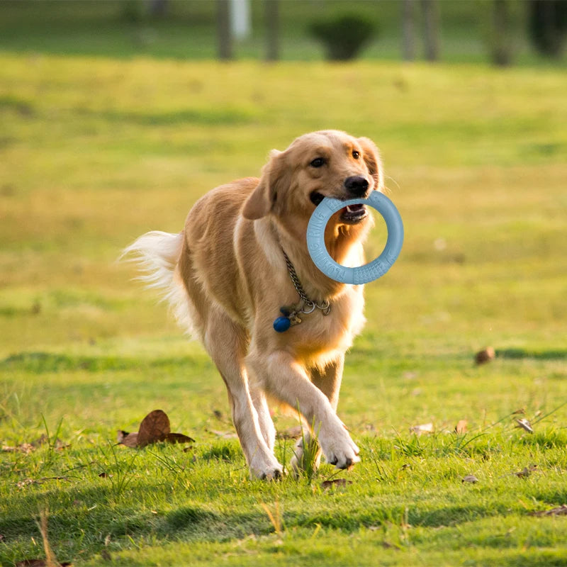 Mystery Paw Indestructible Dog Flying Disc - Ultimate Fetch Fun!