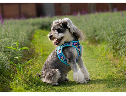 Mystery Paw Reflective Air Mesh Harness for Small & Medium Pets