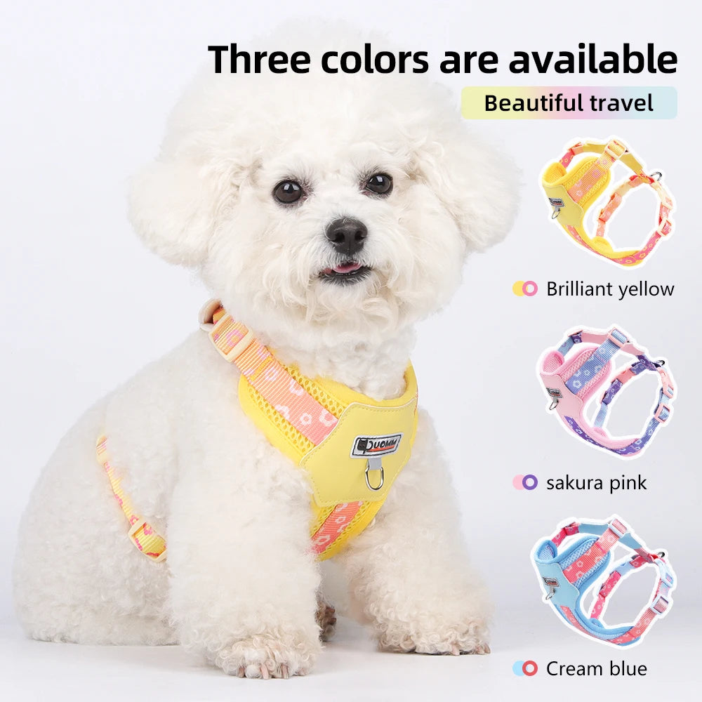 Mystery Paw Kawaii Summer Cooling Dog Harness & Leash Set