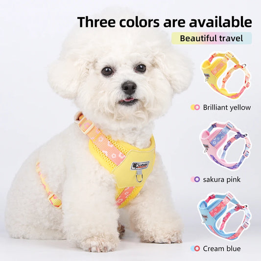 Mystery Paw Kawaii Summer Cooling Dog Harness & Leash Set