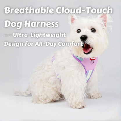 Mystery Paw No-Pull Adjustable Dog Harness - Reflective & Comfortable for All Breeds