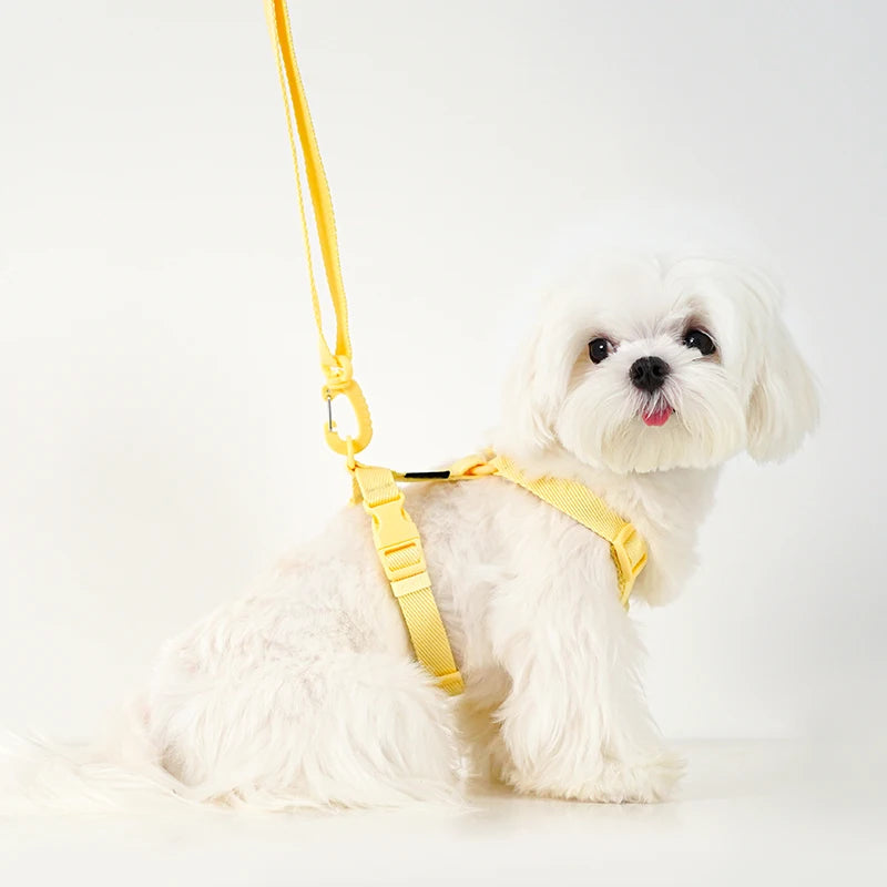 Mystery Paw Reflective H Shape Harness & Leash Set for Puppies & Cats
