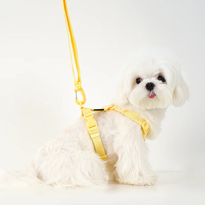 Mystery Paw Reflective H Shape Harness & Leash Set for Puppies & Cats