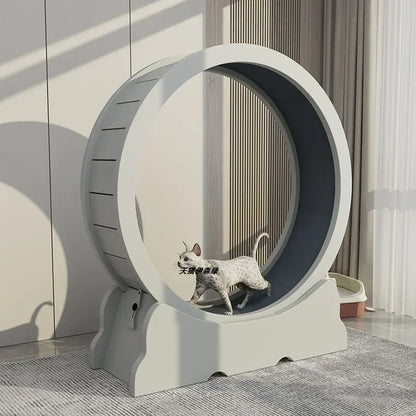 Eco-Friendly Cat Running Wheel - The Ultimate Exercise Equipment for Happy Cats