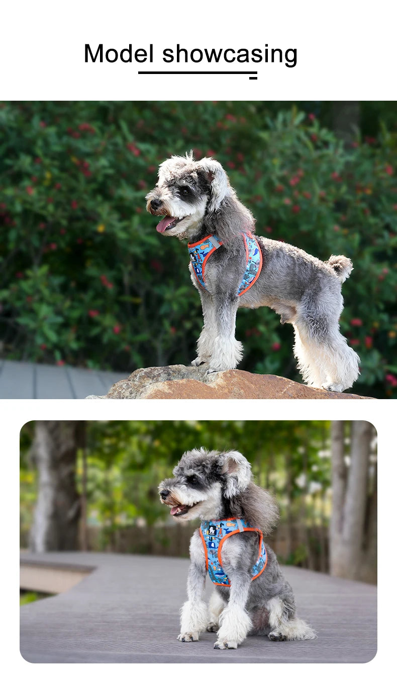 Mystery Paw Reflective Air Mesh Harness for Small & Medium Pets