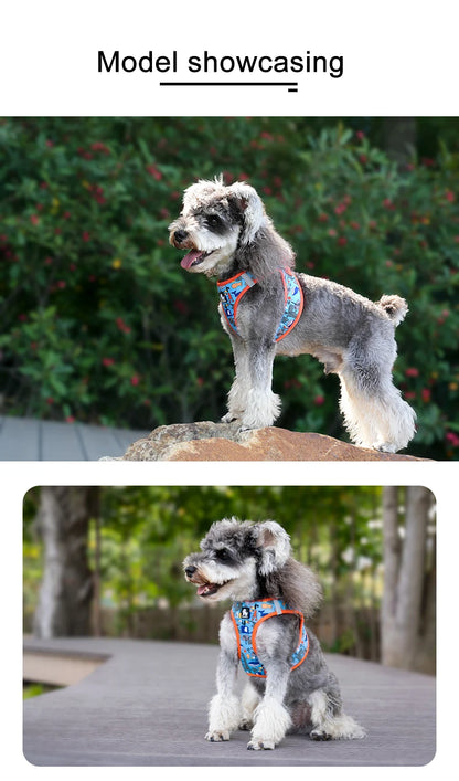 Mystery Paw Reflective Air Mesh Harness for Small & Medium Pets
