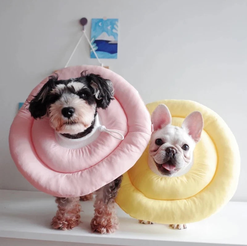 Mystery Paw Pet Healing Cone: Ultimate Protection for Your Furry Friends