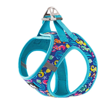 Mystery Paw Reflective Air Mesh Harness for Small & Medium Pets