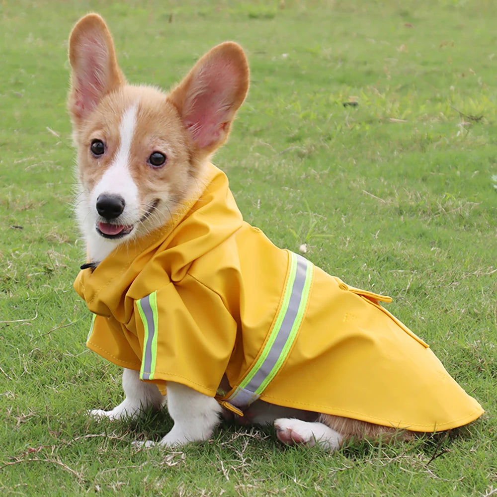 Corgi Style Waterproof Hooded Raincoat for Dogs