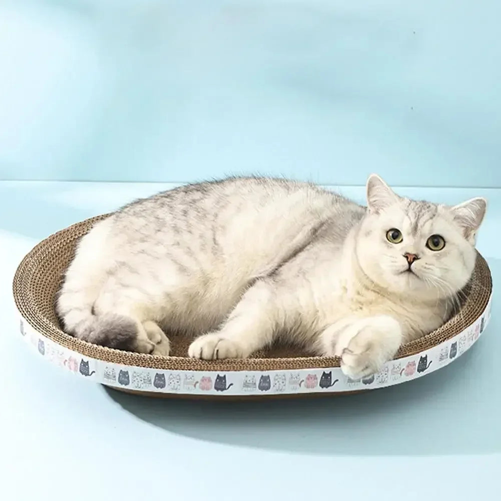 Mystery Paw Cat Scratching Board & Lounge