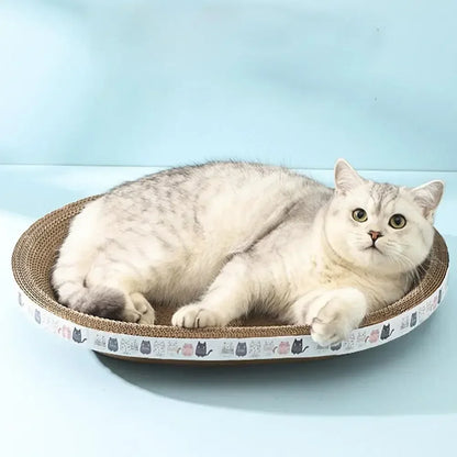 Mystery Paw Cat Scratching Board & Lounge
