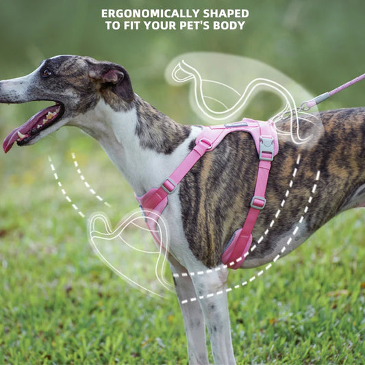 Mystery Paw No-Pull Reflective Dog Harness Vest