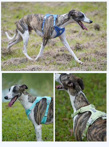 Mystery Paw No-Pull Reflective Dog Harness Vest