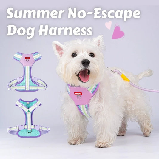 Mystery Paw No-Pull Adjustable Dog Harness - Reflective & Comfortable for All Breeds