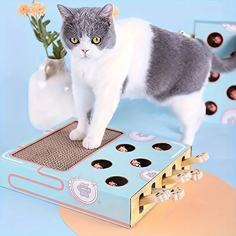 Interactive Cat Toy & Scratching Board for Curious Kittens
