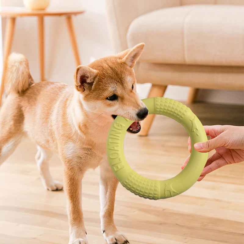 Mystery Paw Indestructible Dog Flying Disc - Ultimate Fetch Fun!