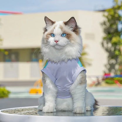 Kawaii Summer Cool Dog Vest - Breathable & Stylish Sun Protection