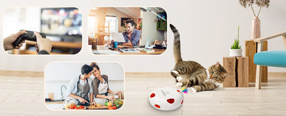Mystery Paw Electric Interactive Feather Cat Toy - Endless Fun for Indoor Cats