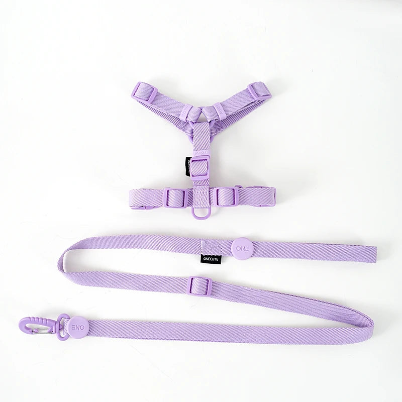 Mystery Paw Reflective H Shape Harness & Leash Set for Puppies & Cats