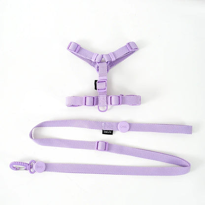 Mystery Paw Reflective H Shape Harness & Leash Set for Puppies & Cats