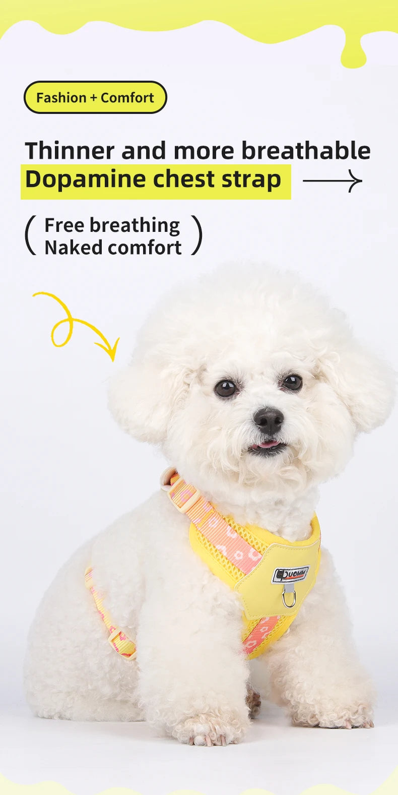 Mystery Paw Kawaii Summer Cooling Dog Harness & Leash Set