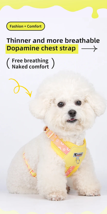 Mystery Paw Kawaii Summer Cooling Dog Harness & Leash Set