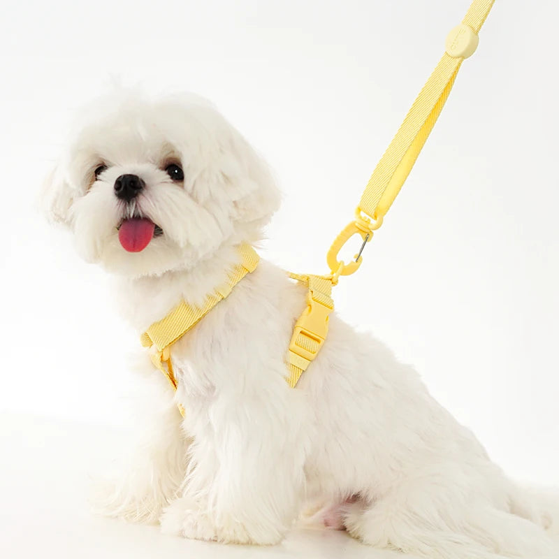 Mystery Paw Reflective H Shape Harness & Leash Set for Puppies & Cats