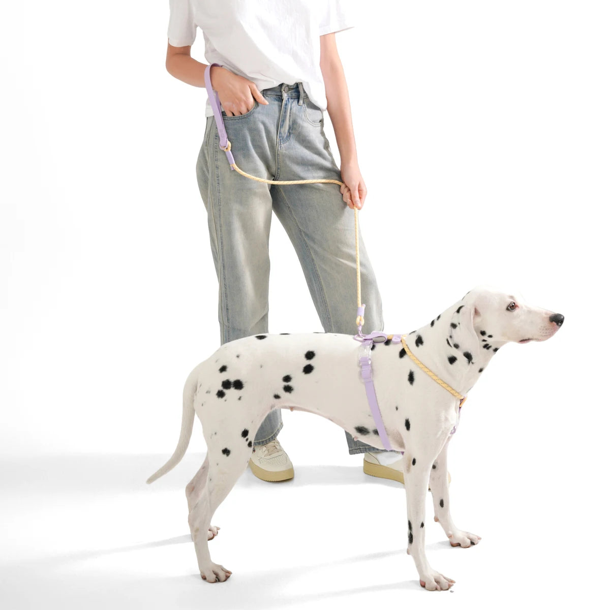 Kawaii Summer Cooling No-Pull Dog Harness & Leash Set - Stylish Comfort for Medium & Large Breeds