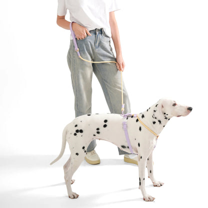 Kawaii Summer Cooling No-Pull Dog Harness & Leash Set - Stylish Comfort for Medium & Large Breeds