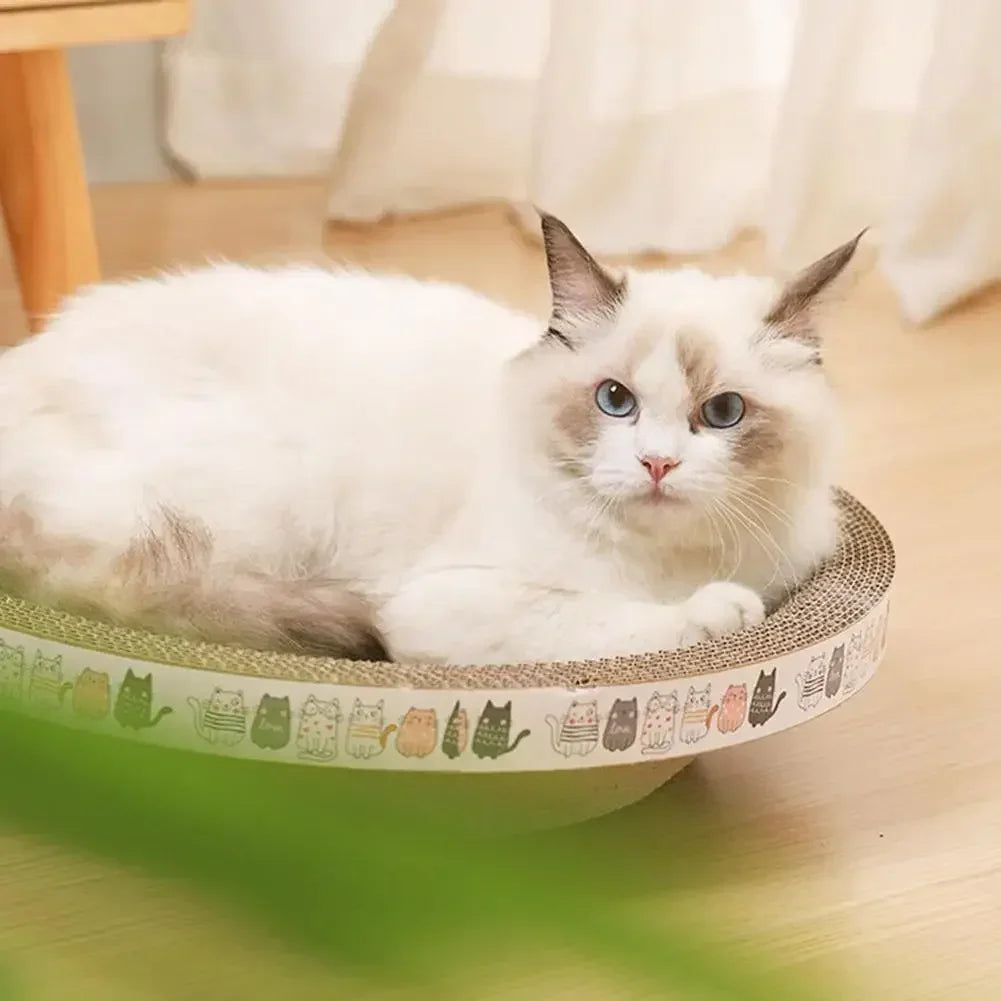 Mystery Paw Cat Scratching Board & Lounge