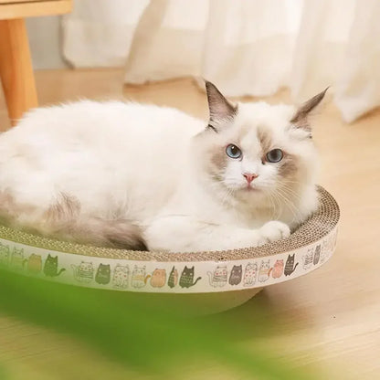 Mystery Paw Cat Scratching Board & Lounge