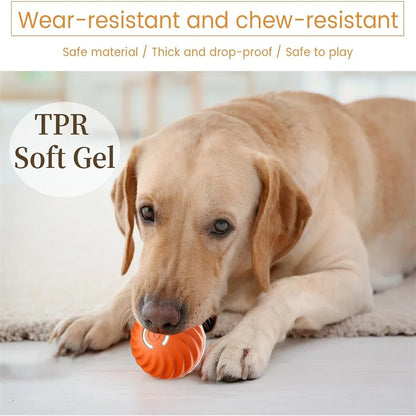Mystery Paw Smart Interactive Jump Ball Toy