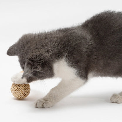 Funny Feather & Rattan Bell Balls - Interactive Cat Toys