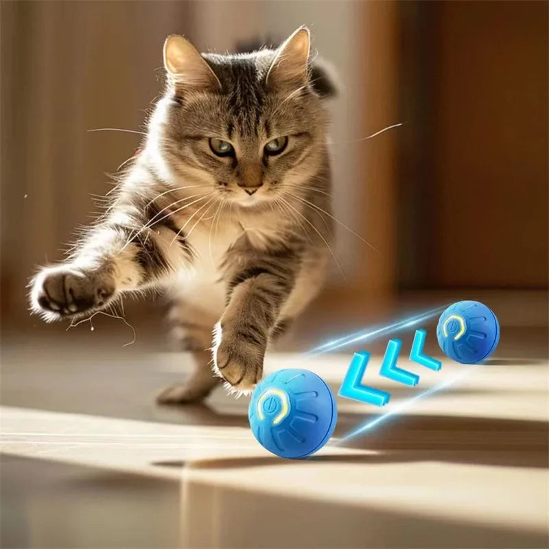 Mystery Paw Smart Interactive Jump Ball Toy