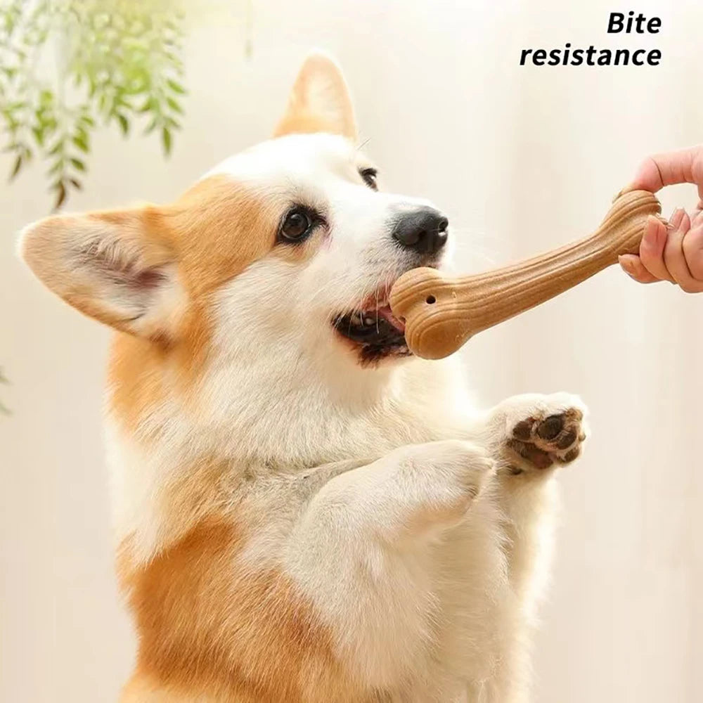 Eco-Friendly Chew Toys for Dogs - Mystery Paw
