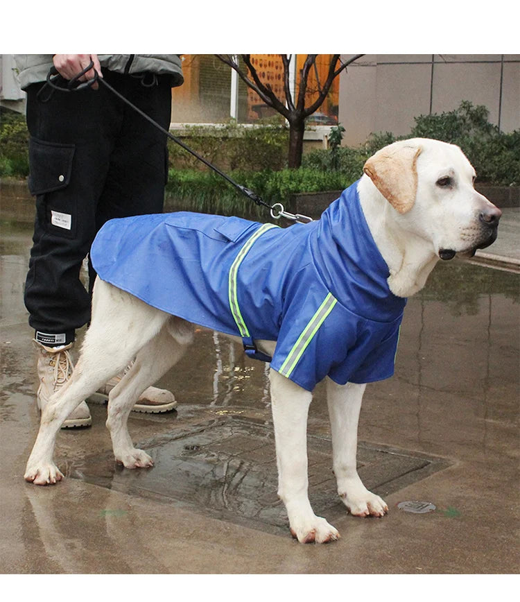 Corgi Style Waterproof Hooded Raincoat for Dogs