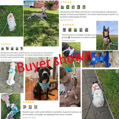 Mystery Paw No-Pull Reflective Dog Harness Vest