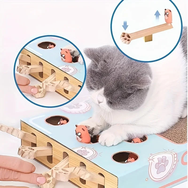 Interactive Cat Toy & Scratching Board for Curious Kittens