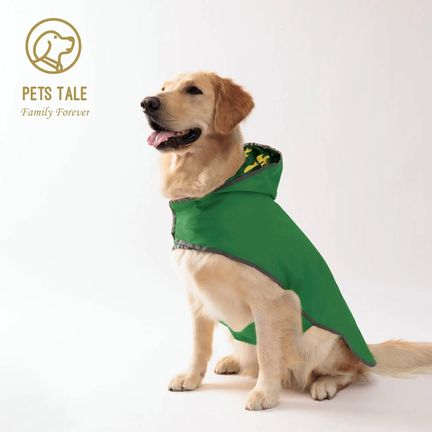 All Weather Dog Raincoat: Stay Dry and Stylish!